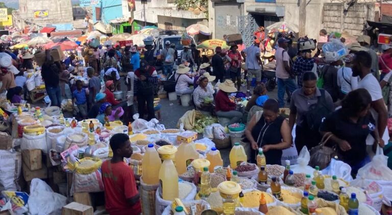 Les ‘Jaden’ : Révolutionner le Commerce Ambulant en Haïti avec des Marchés Modernisés et Digitalisés »