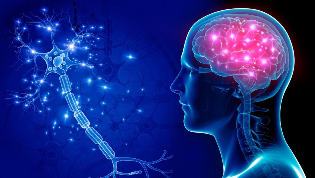 La Technologie et l’Énergie : Clés pour la Récupération des Cerveaux et l’Éducation en Haïti